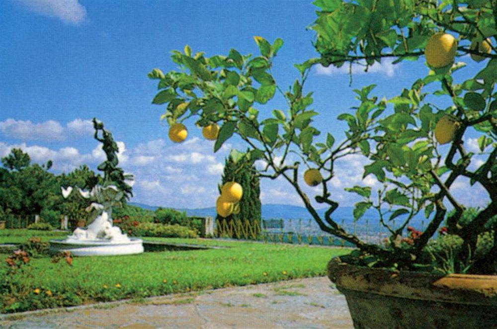 Hotel Villa Le Rondini Firenze Kültér fotó